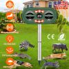 Solar Ultrasonic Animal Repeller Motion Sensor Animal Repellent USB Animal Chaser IP66 Waterproof for Farm Garden Yard to Drive Deer Raccoon Squirrel